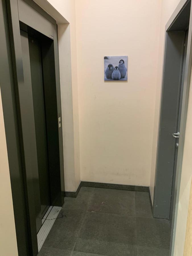 Ferienwohnung Okapi Halle  Exterior foto