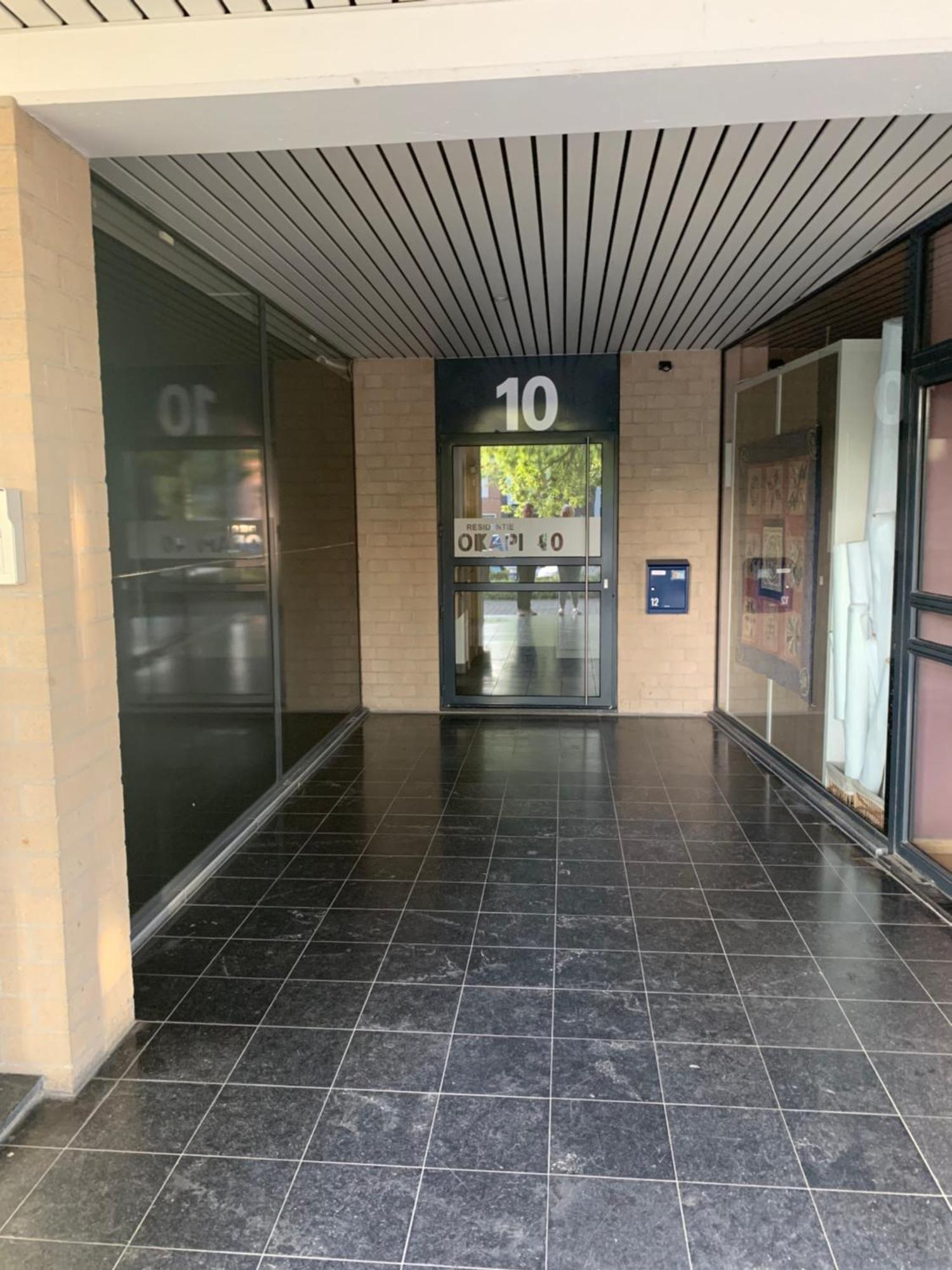 Ferienwohnung Okapi Halle  Exterior foto
