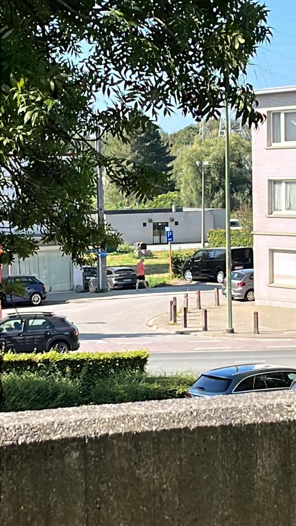 Ferienwohnung Okapi Halle  Exterior foto